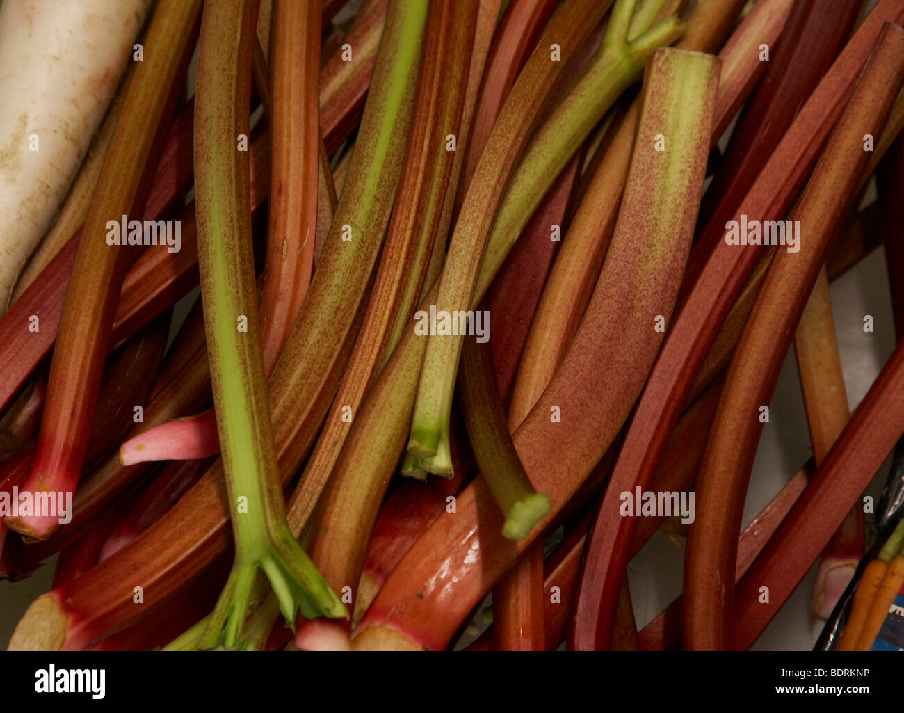 Bâtonnets de rhubarbe Banque D'Images