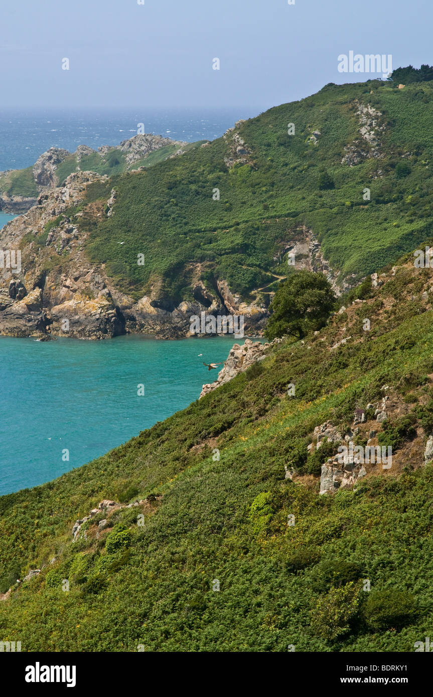 Dh ST MARTIN GUERNSEY côte sud de baies et pointe Kestrel planant scène côte vista Banque D'Images