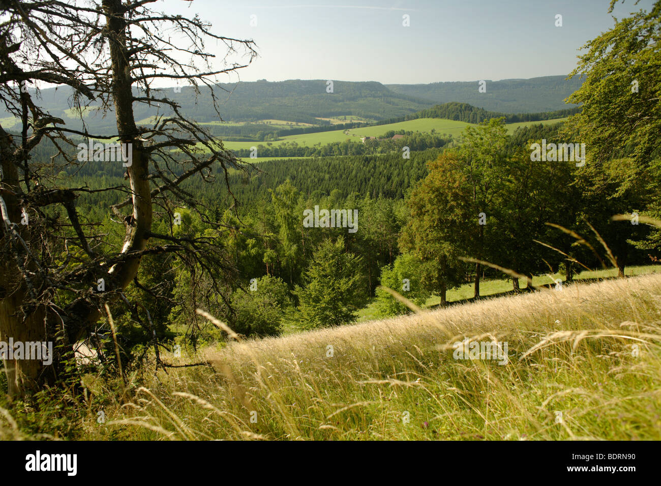 Vue depuis la vallée du Danube en Lochenstein,schwaebische Alb, Donaubergland, Bade-Wurtemberg, Allemagne, Europe Banque D'Images