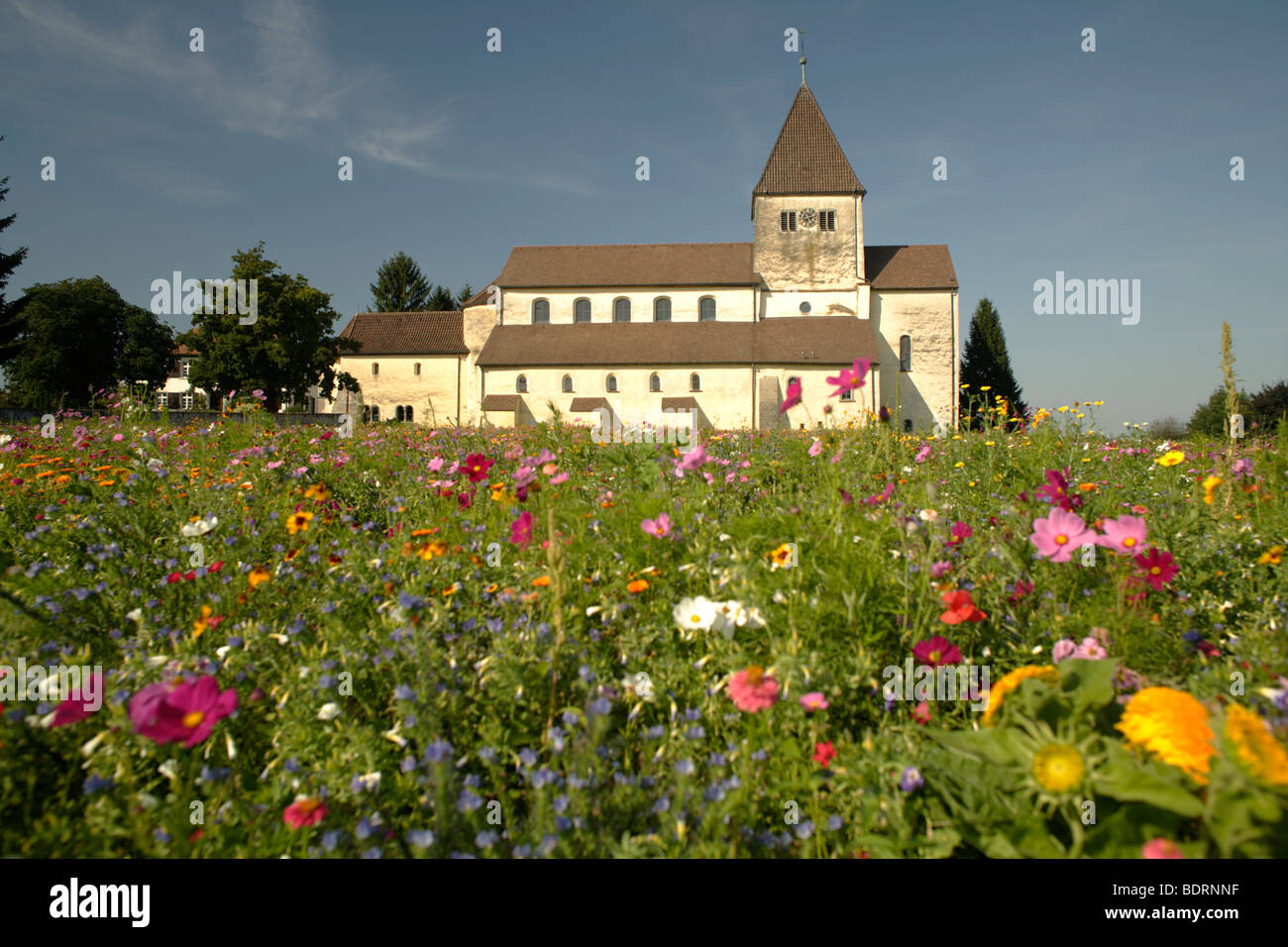 La fin de l'époque carolingienne et ottonienne construite Basilique de Saint Georges en Oberzell Reichenau, l'île, le lac de Constance, Allemagne Banque D'Images