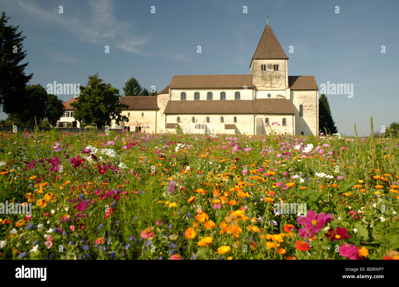 La fin de l'époque carolingienne et ottonienne construite Basilique de Saint Georges en Oberzell Reichenau, l'île, le lac de Constance, Allemagne Banque D'Images