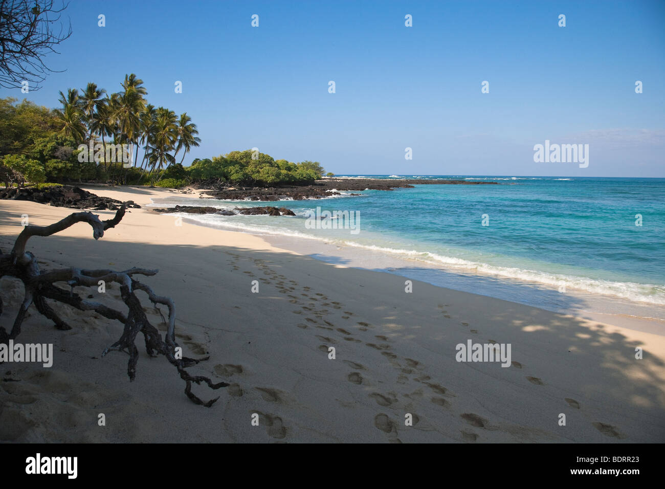 Des traces de pas dans le sable le long Mahiula Beach à Kona, Hawaï. Banque D'Images