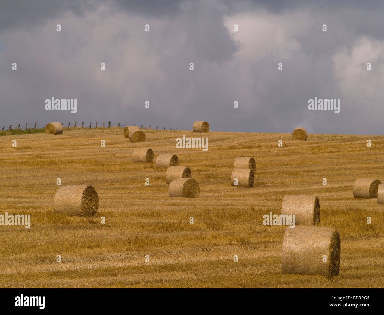 Après la récolte a la fin de l'été vue depuis Whitburn, South Tyneside, Angleterre Banque D'Images