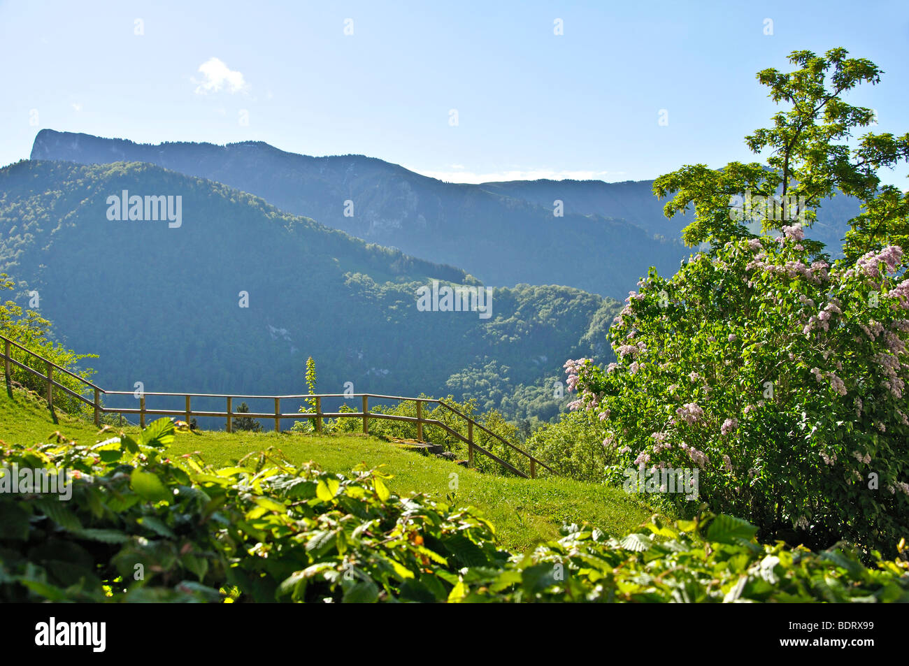 Paysage alpin - vue depuis le château de Gruyères, Suisse Banque D'Images