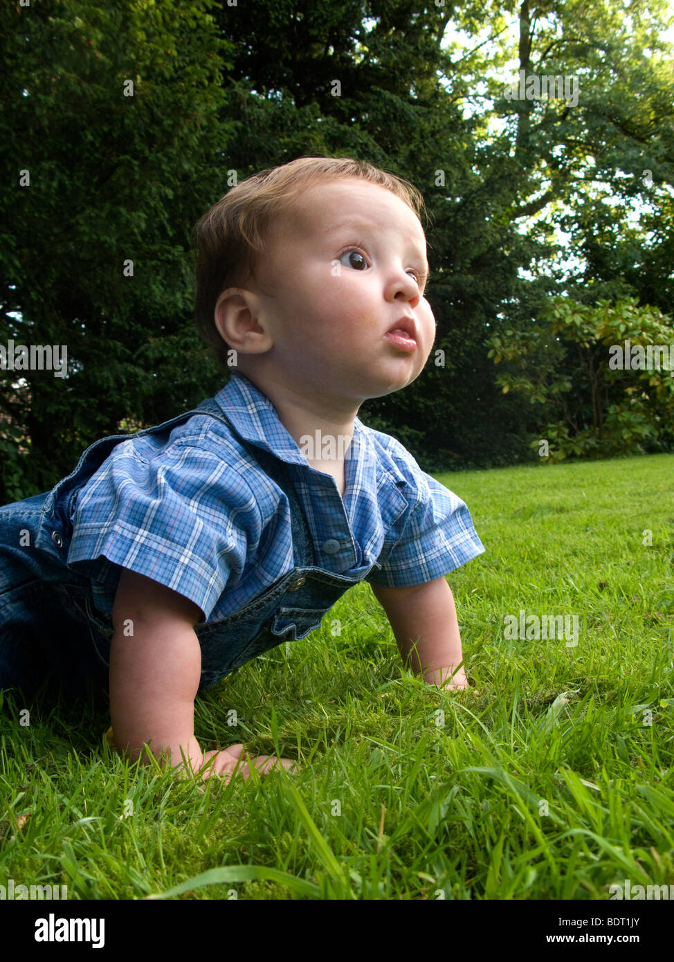 Baby Boy ramper le long jardin pelouse en pente Banque D'Images