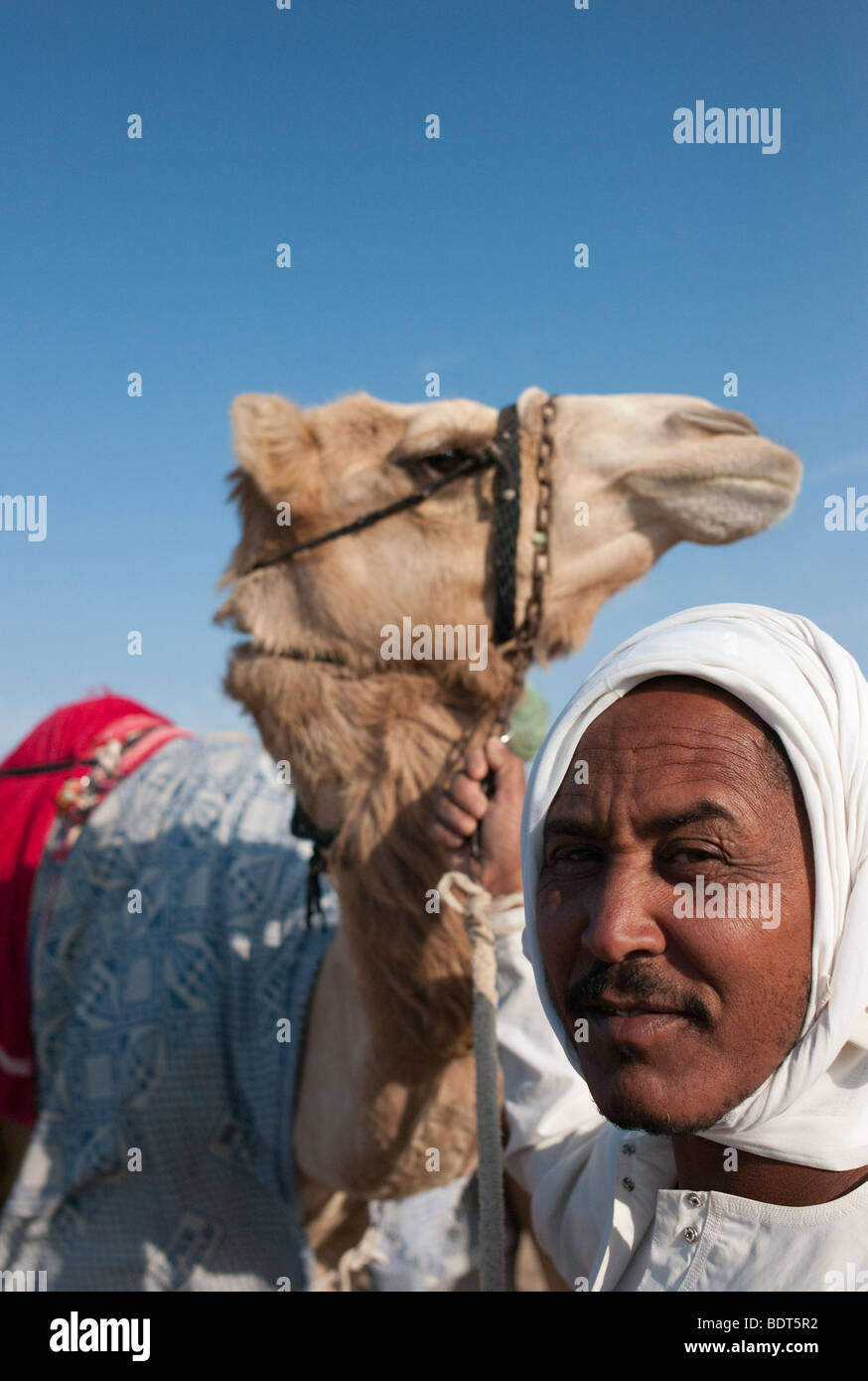 Au chamelier arabe le Camel Race Track à Nadl Sheba, Dubaï Banque D'Images