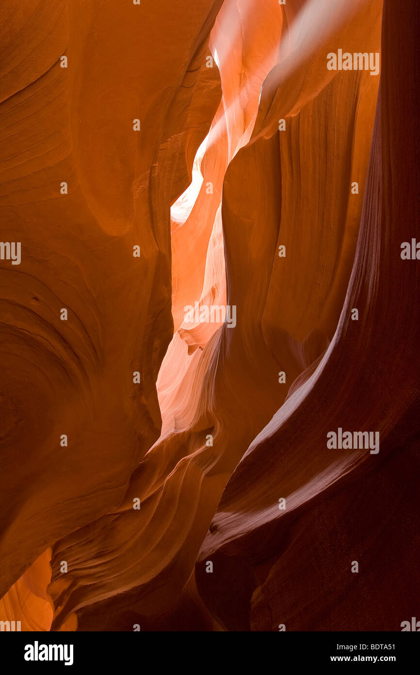 Slot Canyon sculpté par des crues éclair, Upper Antelope Canyon, Page, Arizona, USA. Banque D'Images