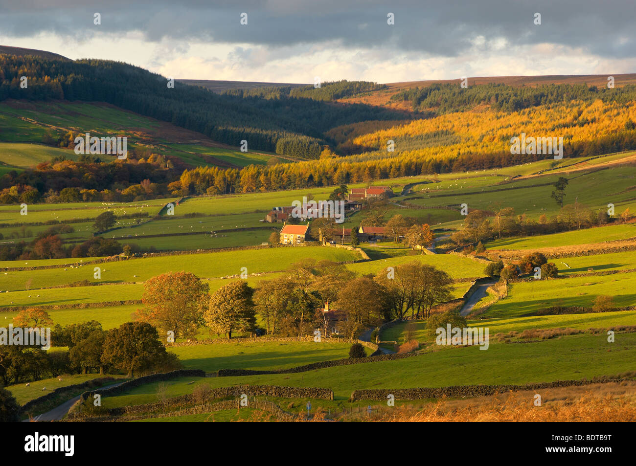 Bransdale au coucher du soleil, Parc National des North Yorkshire Moors, l'Angleterre. Banque D'Images