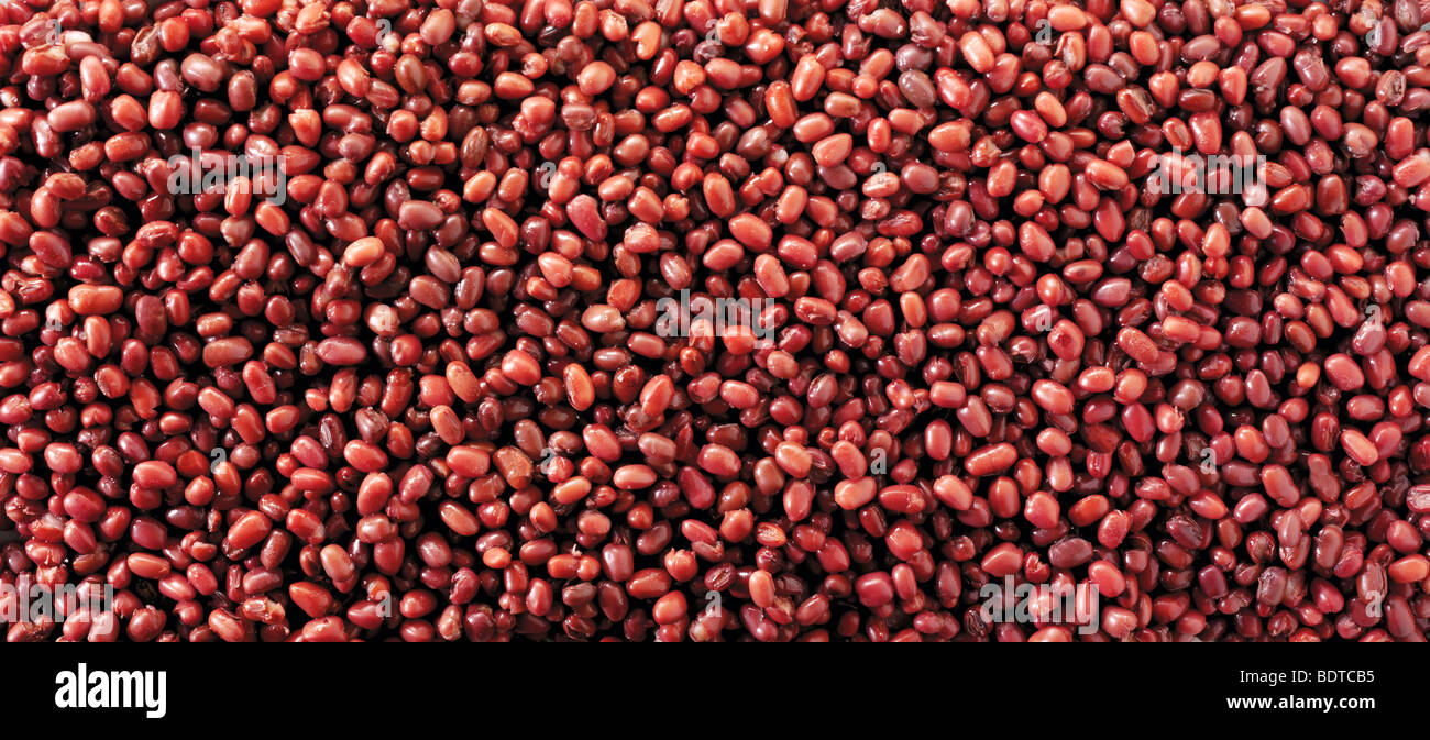 Haricots adiki entiers, haricots adzuki, haricots azuki - gros plan plein cadre Banque D'Images