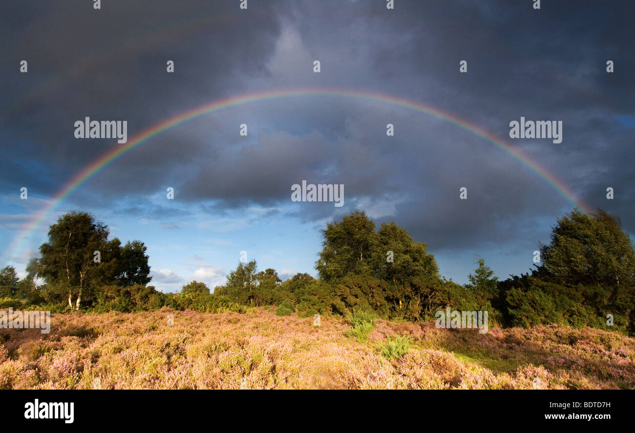 Rainbow au Rockford commun dans le parc national New Forest Banque D'Images Rainbow au Rockford commun dans le parc national New Forest Banque D'Images
