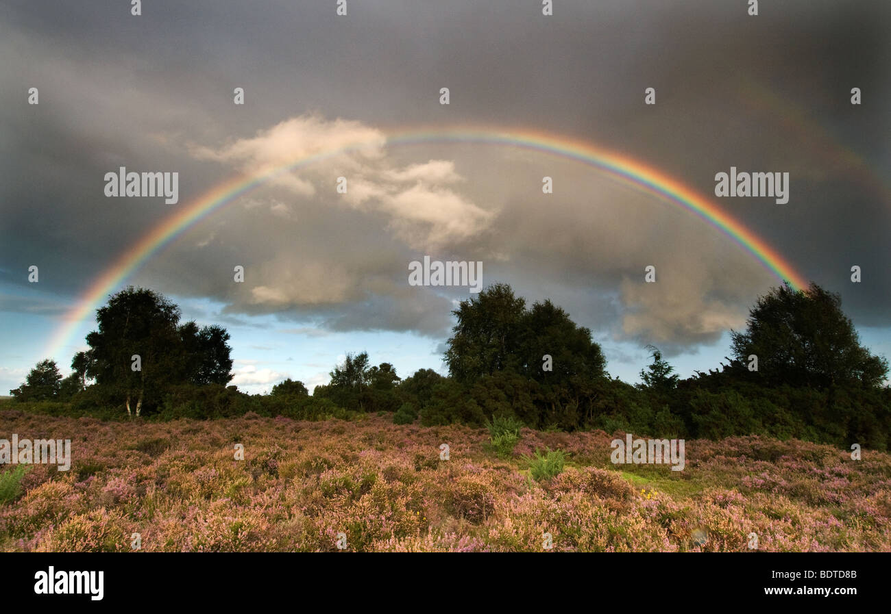 Rainbow au Rockford commun dans le parc national New Forest Banque D'Images Rainbow au Rockford commun dans le parc national New Forest Banque D'Images