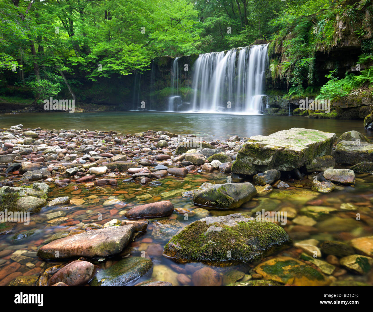 Ddwli Scwd Nedd Fechan cascade sur la rivière près de Ystradfellte, parc national de Brecon Beacons, Powys, Pays de Galles. En été (juin) 2009 Banque D'Images