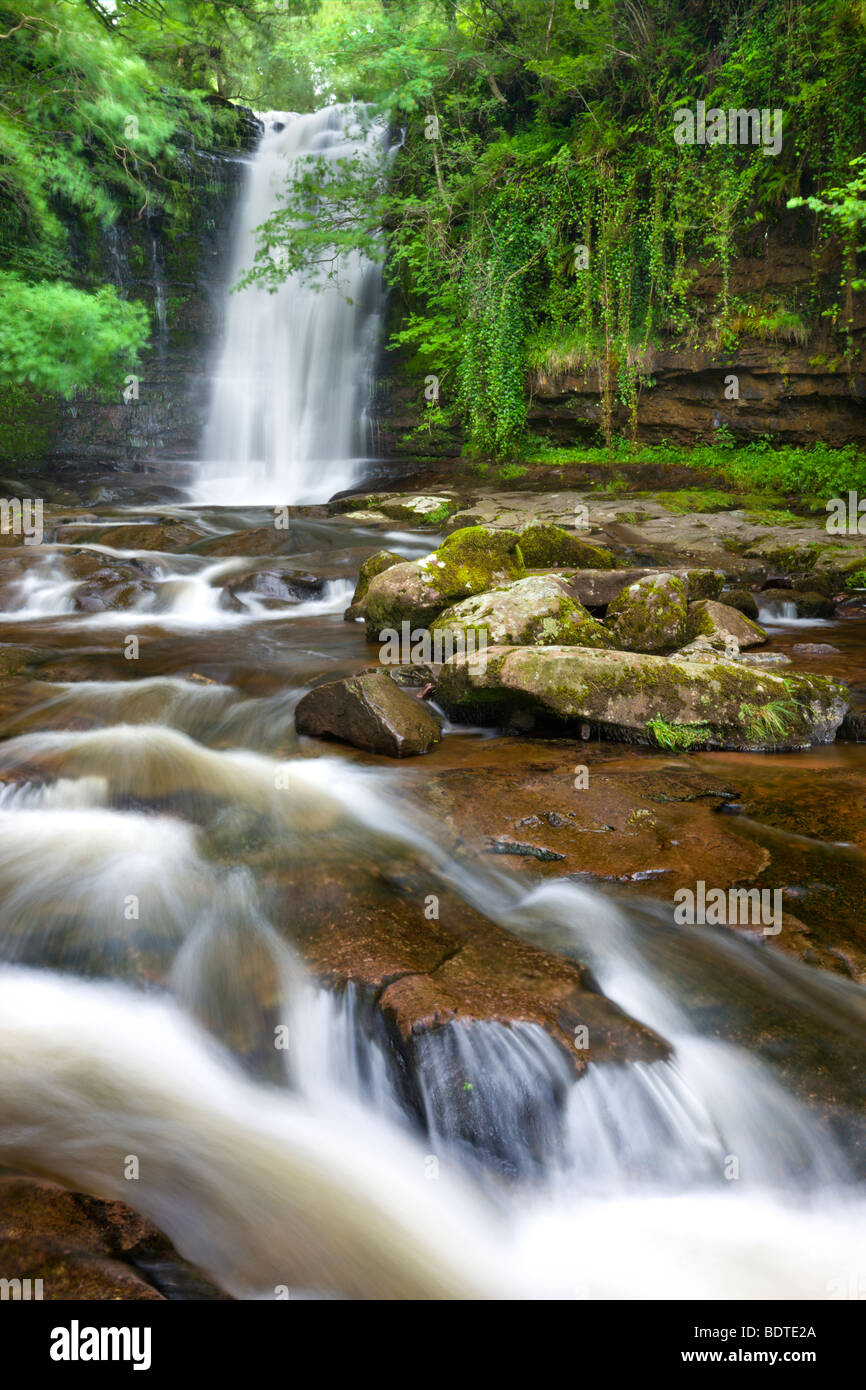 Cascade sur le Caerfanell Établissement Blaen proche-y-GLYN, parc national de Brecon Beacons, Powys, Pays de Galles. L'été (juillet) 2009 Banque D'Images