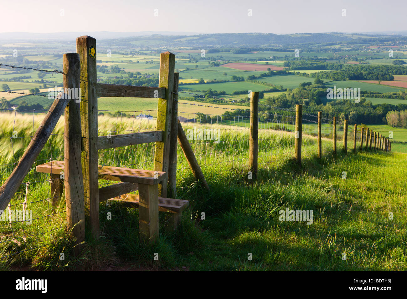Sentier menant au cours de clôture et stile à travers champs, Raddon Hill, Mid Devon, Angleterre. L'été (juillet) 2009 Banque D'Images