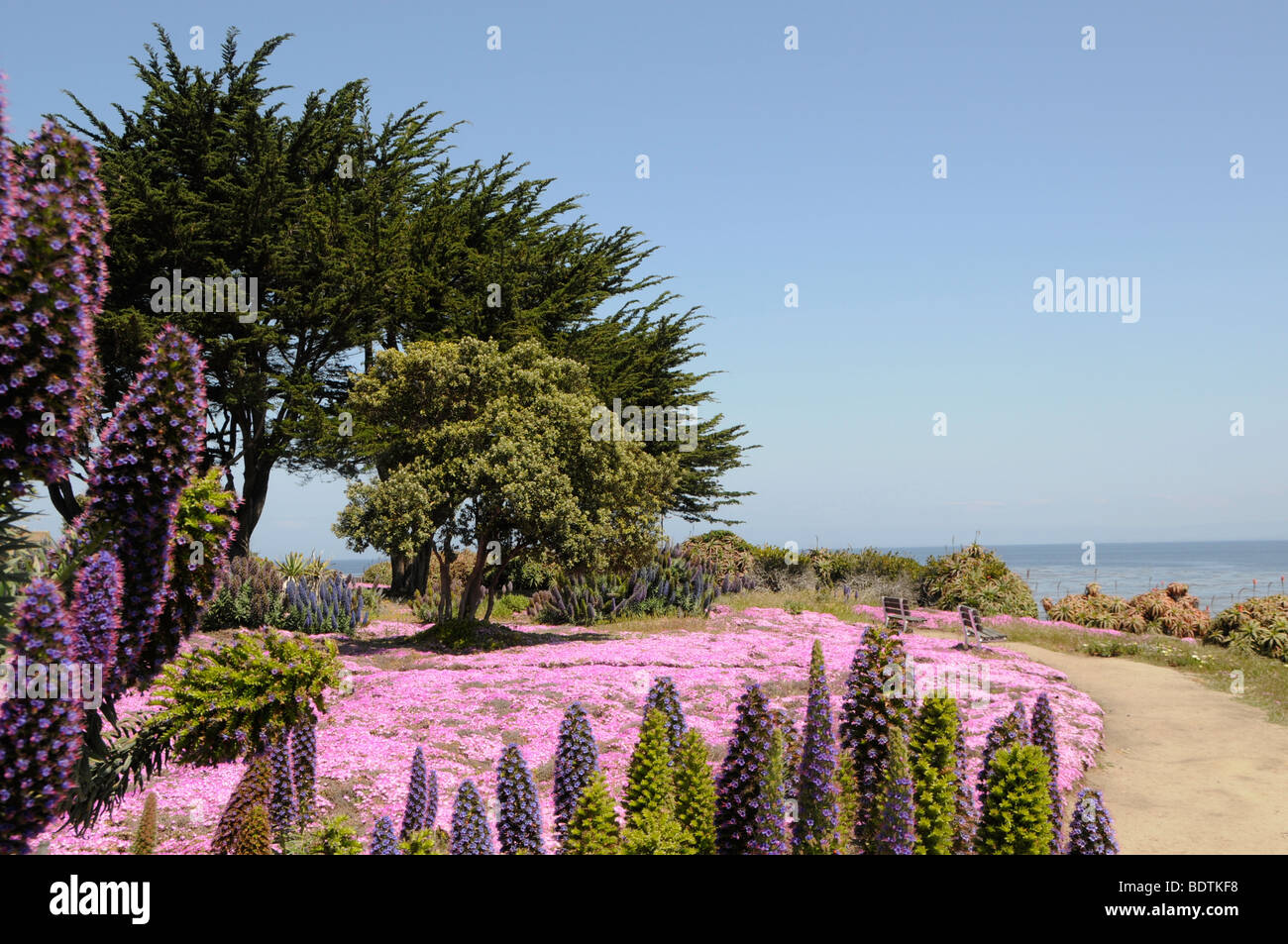 Côte de Monterey, California, United States Banque D'Images