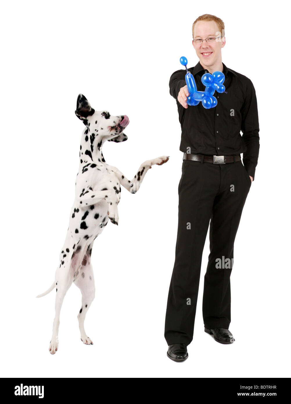 Dalmatien (Canis lupus f. familiaris), avec l'homme tenant un ballon en forme de chien dans sa main Banque D'Images