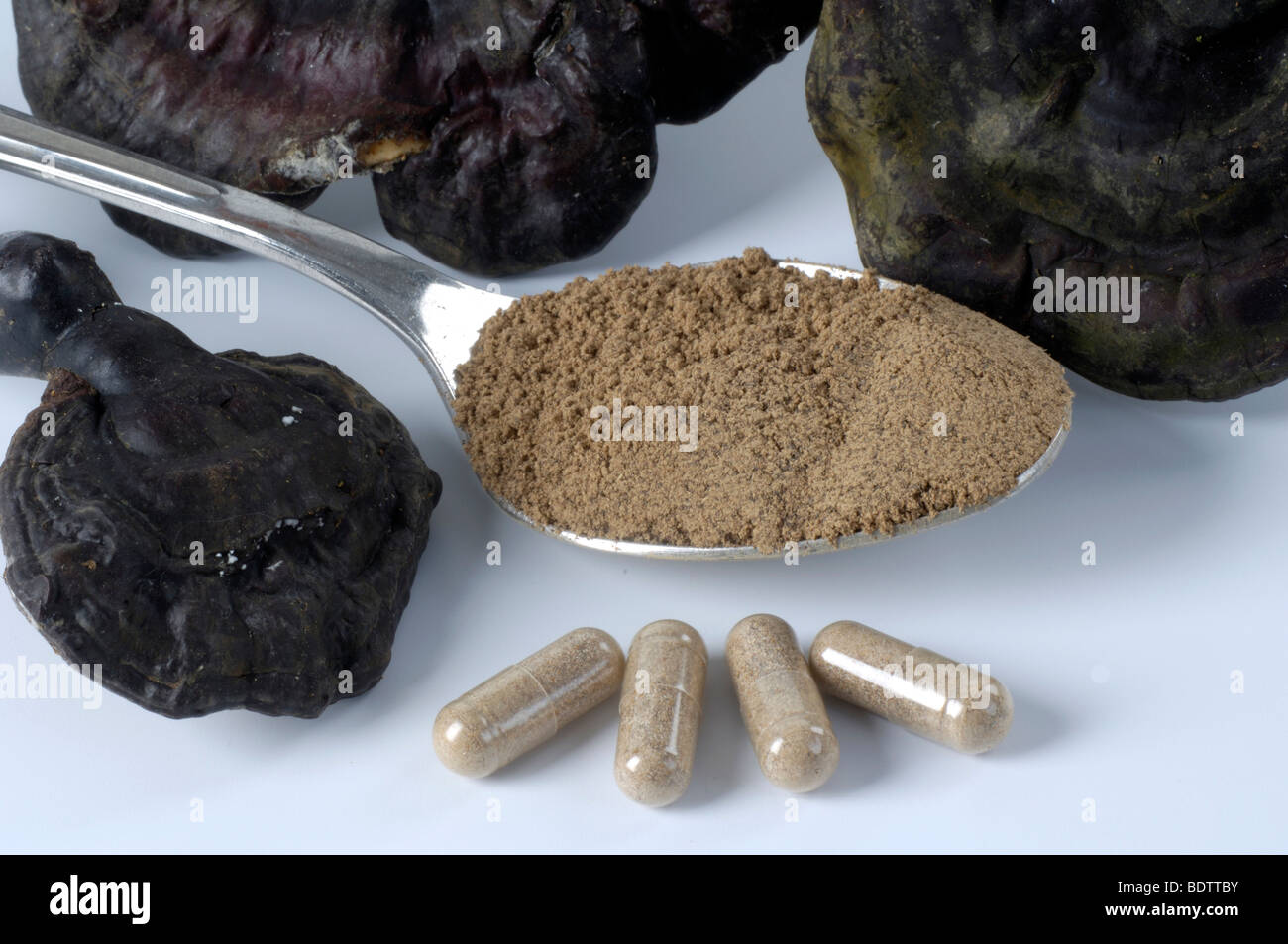 Poudre de Reishi, cut out, objet, Glaenzender Lackporling Pulver, Ganoderma lucidum, Heilpilze, Freisteller, Objekt Banque D'Images