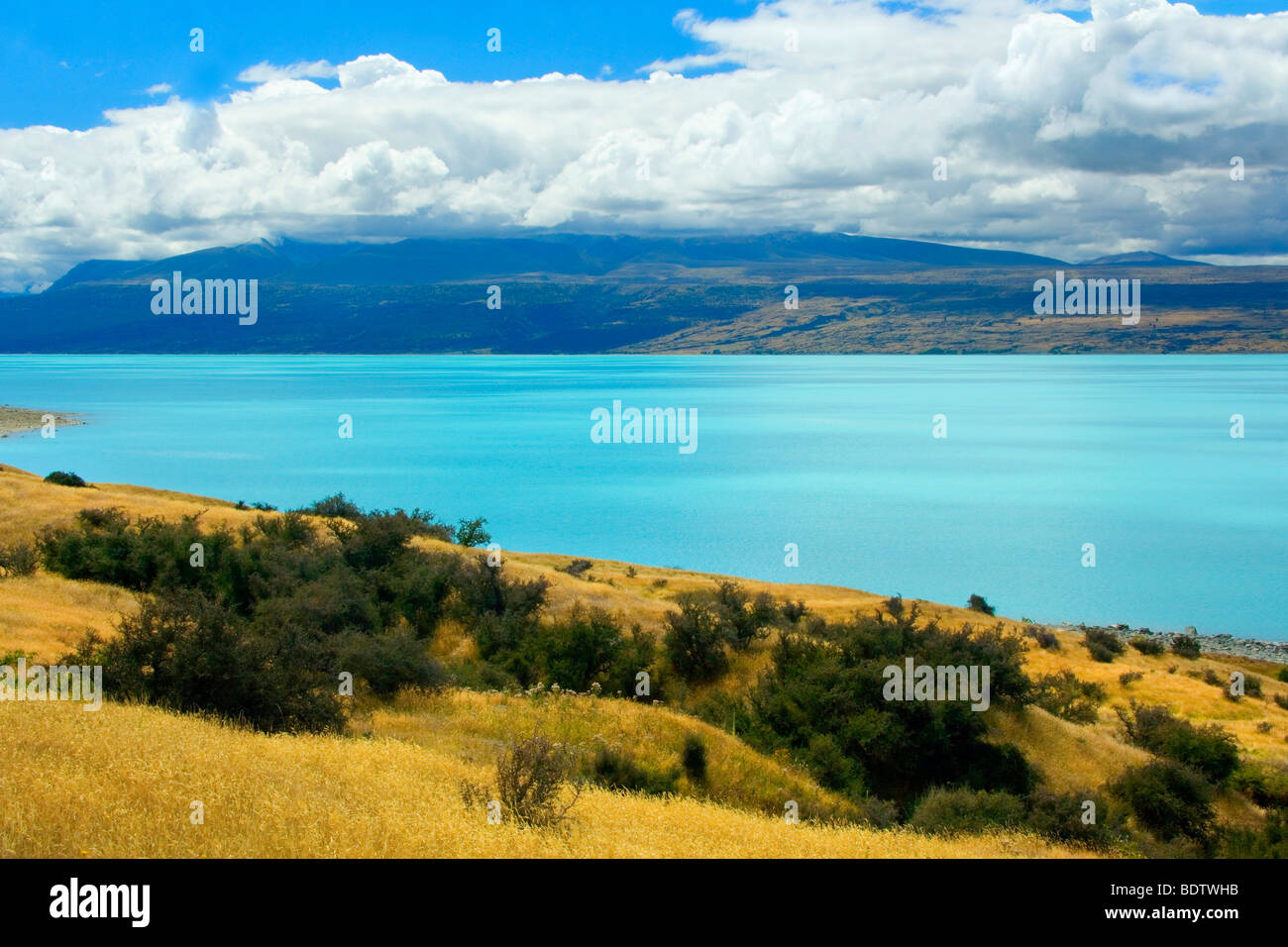 Lake Matheson, le Mont Cook et les Alpes du Sud, Westland National Park, South Island, New Zealand Banque D'Images