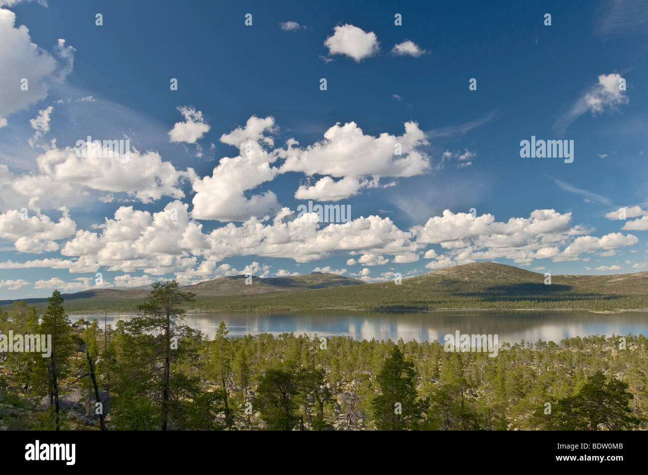 Blick auf vu im naturreservat rogen, haerjedalen, Schweden, vue à Lakeland en réserve naturelle rogen, Suède Banque D'Images