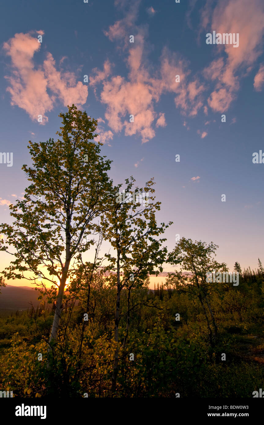 Landschaft bei dans mitternachtssonne gaellivare, Laponie, Schweden, paysage au soleil de minuit en Laponie, Suède Banque D'Images