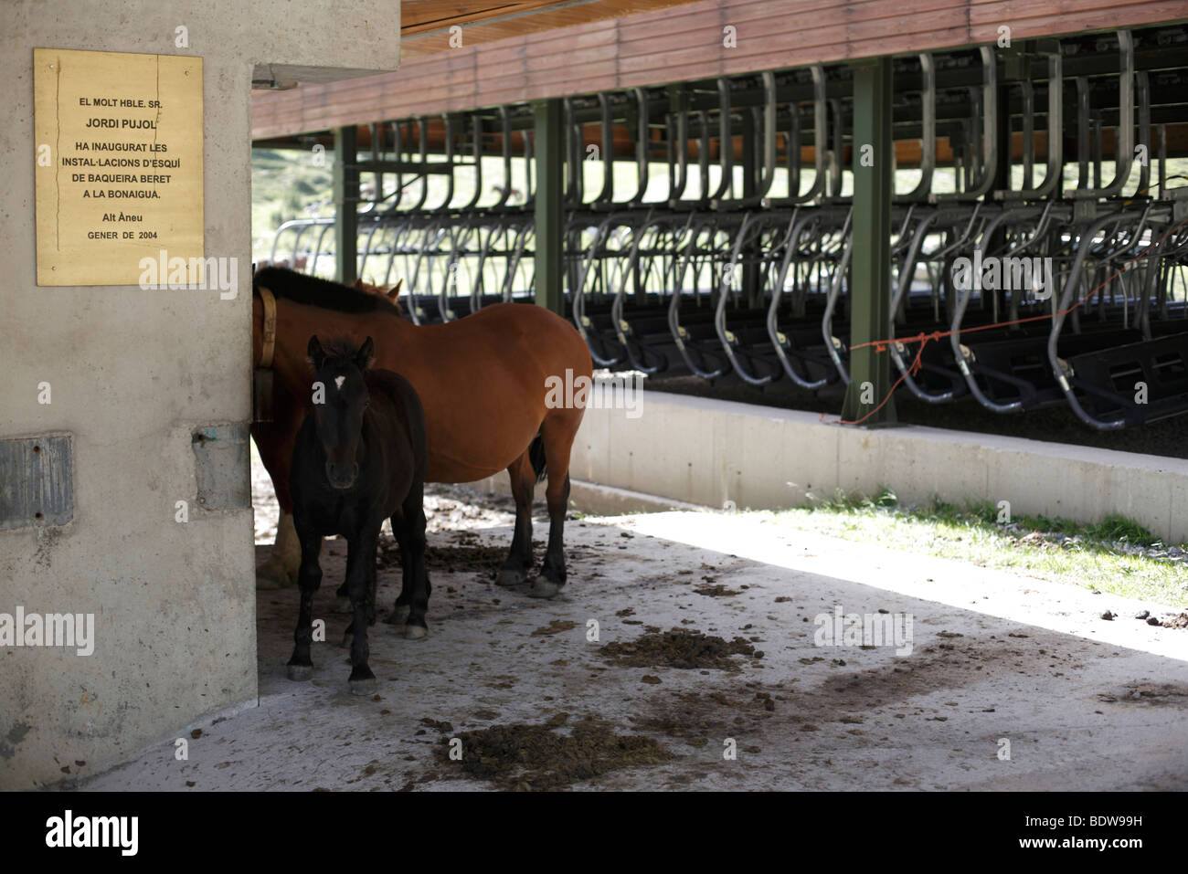 Les chevaux à l'abri du soleil sous un télésiège dans la station de ski de Baqueira d'hiver dans les Pyrénées espagnoles Banque D'Images