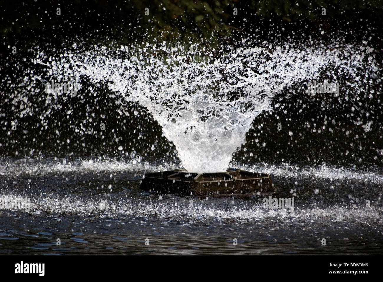 Fontaine de l'eau dans le lac de Springfield park North London UK Banque D'Images