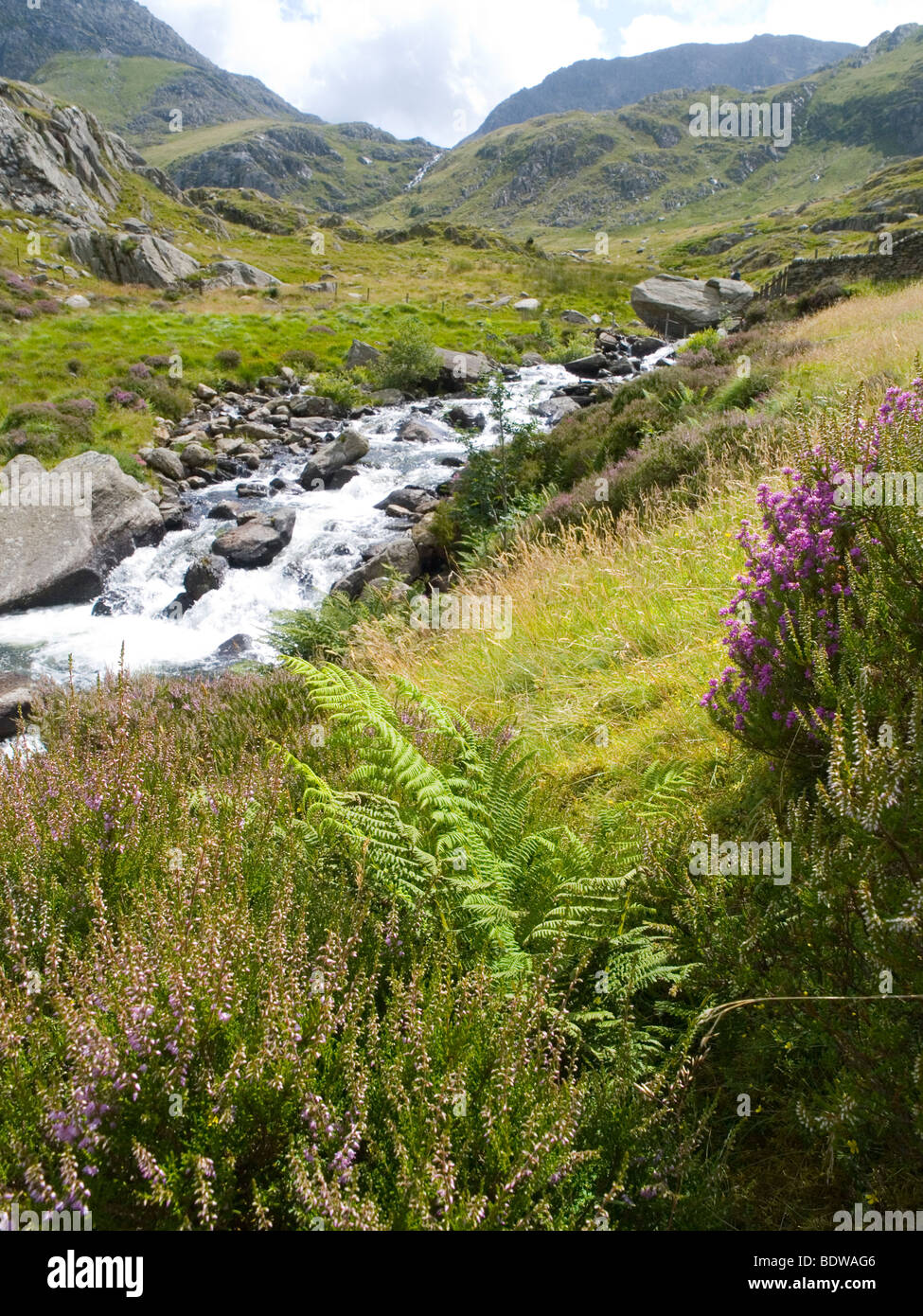 Une jolie cascade dans le Glyders Snowdonia au Pays de Galles, Royaume-Uni Banque D'Images