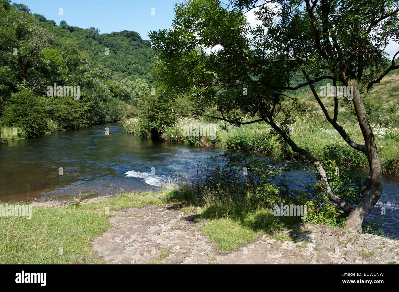 Rivière Wye dans Dale Monsal, Derbyshire Peak District, Angleterre Banque D'Images