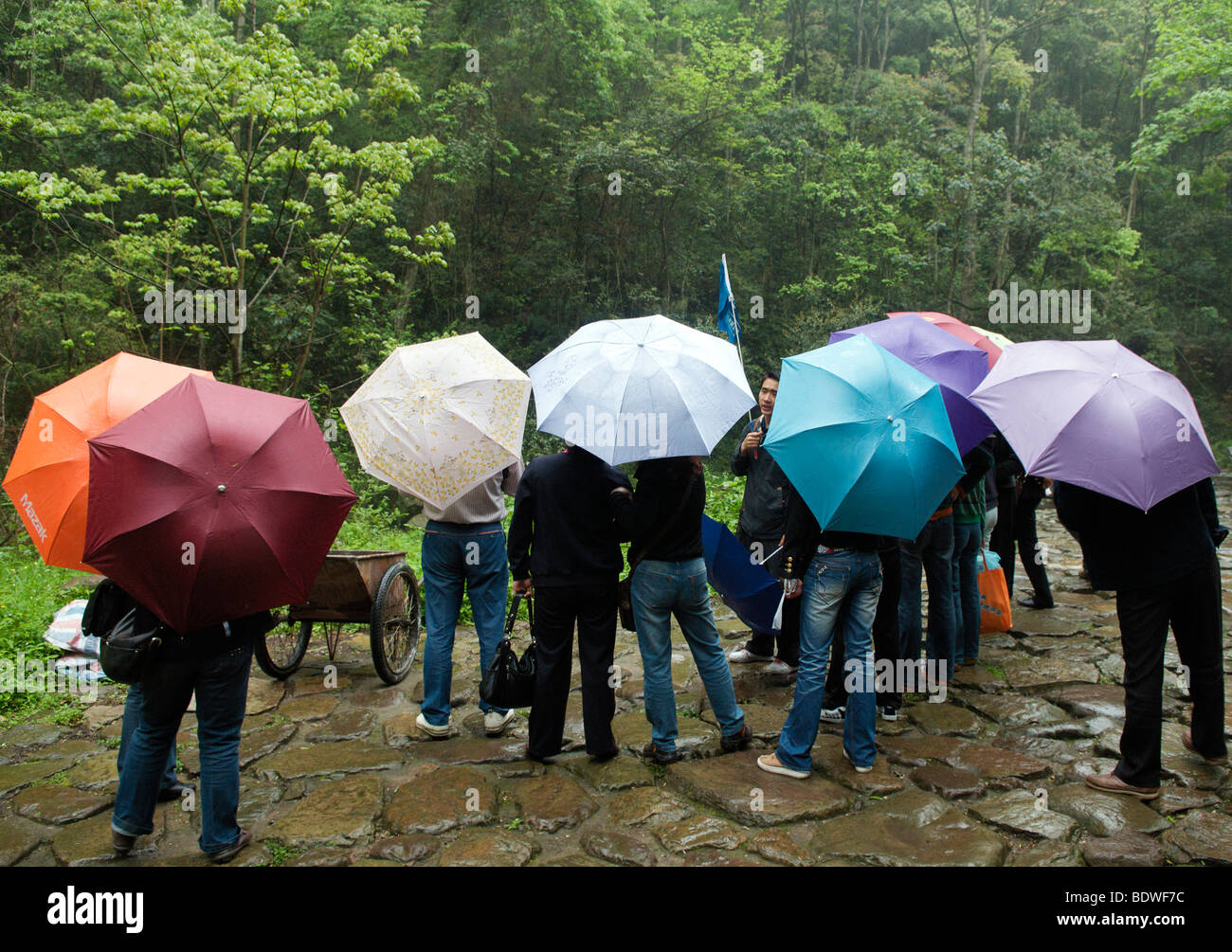 Groupe touristique debout dans la pluie avec guide Wulingyuan Scenic National Park la province de Hunan, Chine Banque D'Images