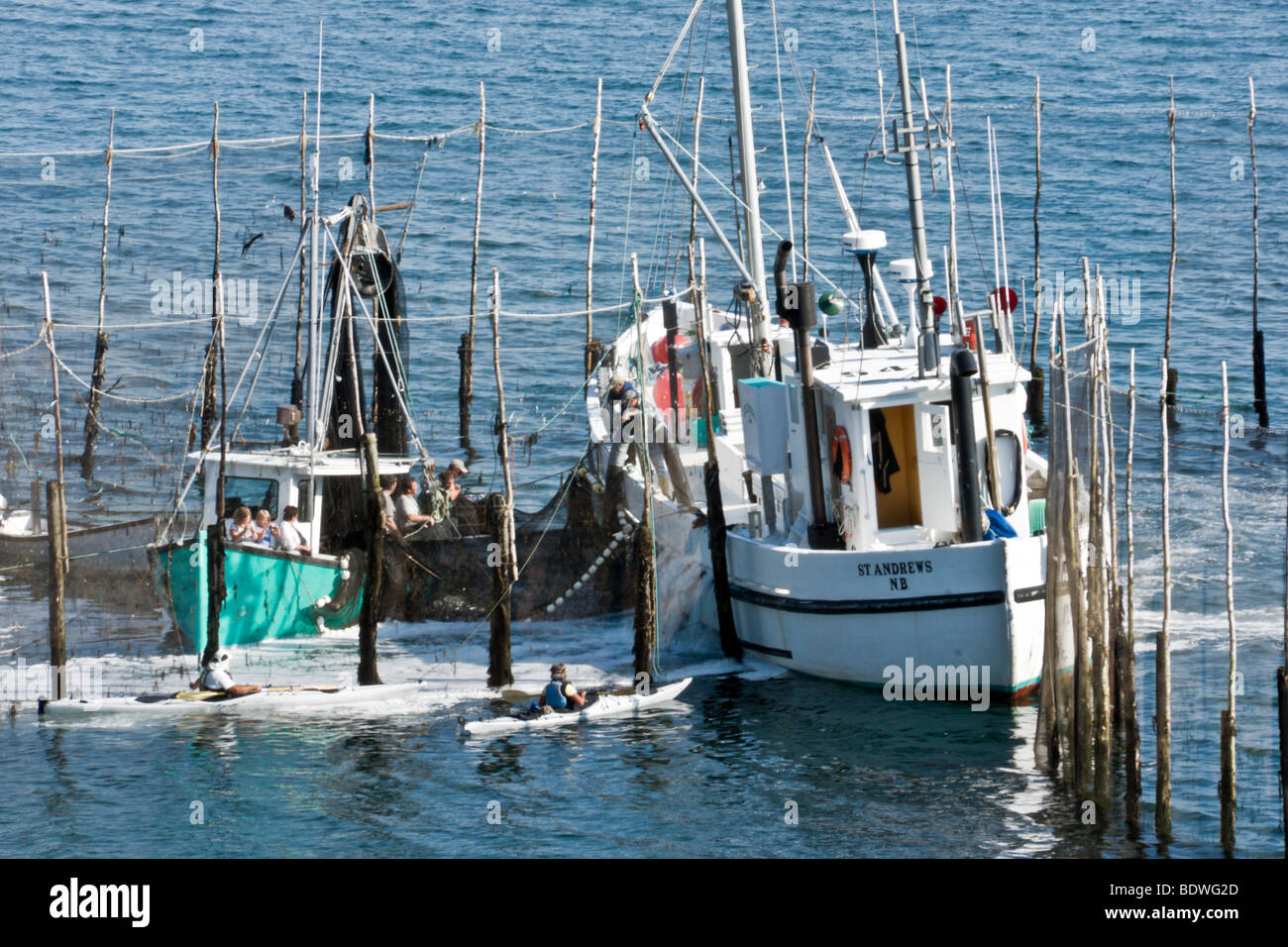 Les bateaux de pêche du hareng weir Grand Manan Nouveau-Brunswick Canada Banque D'Images