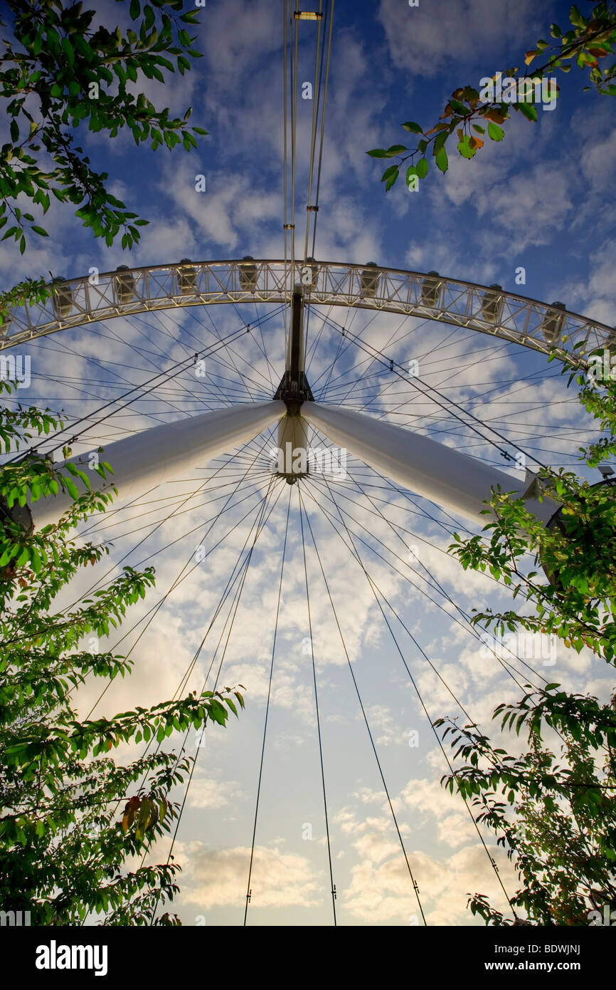 London Eye Vue au sol Southbank London Thames arbres nuages soir coucher du soleil estival de la capitale de l'Europe English UK monument Banque D'Images