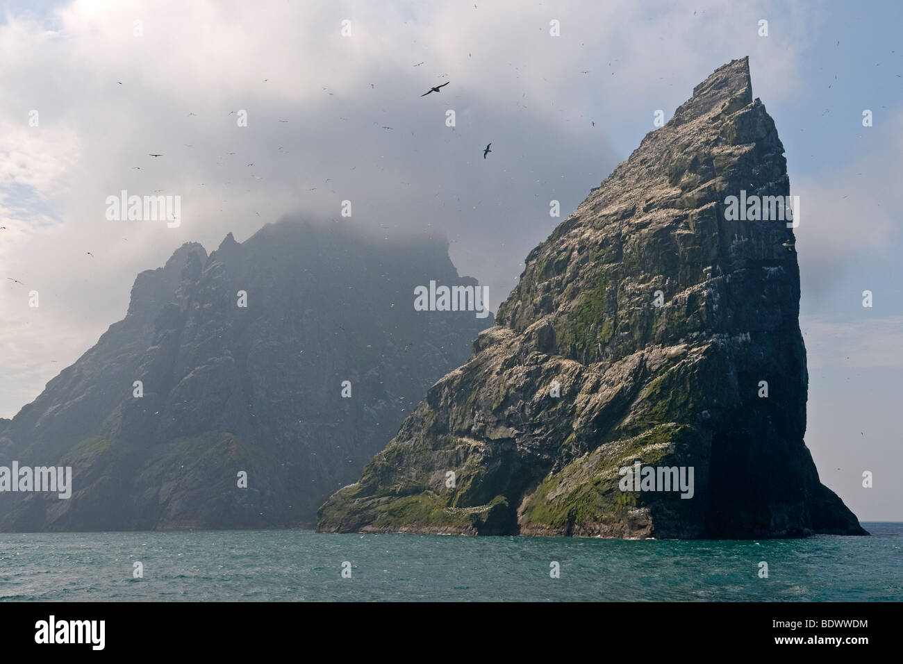 Îles d'Armin et Boreray Stac dans l'archipel de Saint Kilda, l'Écosse. Banque D'Images