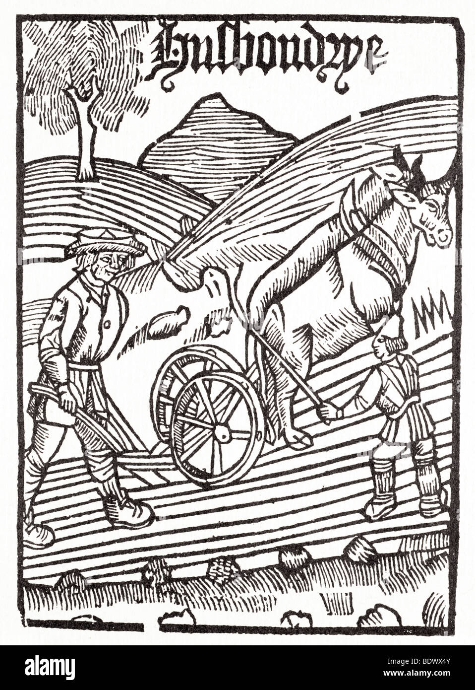 P treveris 1525 john fitzherbert newe tracte pour husbade les hommes un agriculteur de guider une charrue à deux roues tiré par deux boeufs avec un garçon Banque D'Images