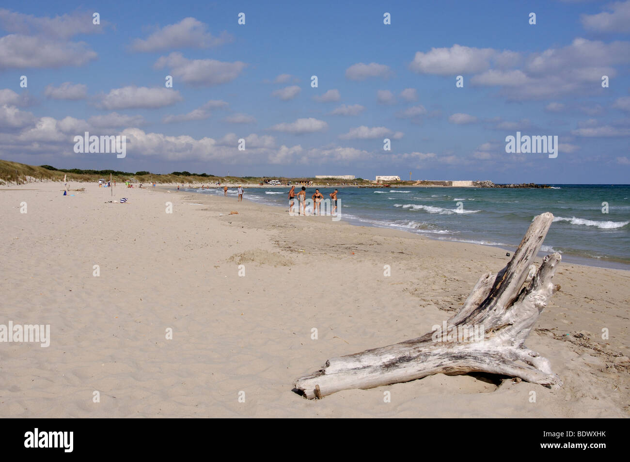 Vue sur la plage, la réserve naturelle de Torre Guaceto, province de Brindisi, Pouilles, Italie Banque D'Images