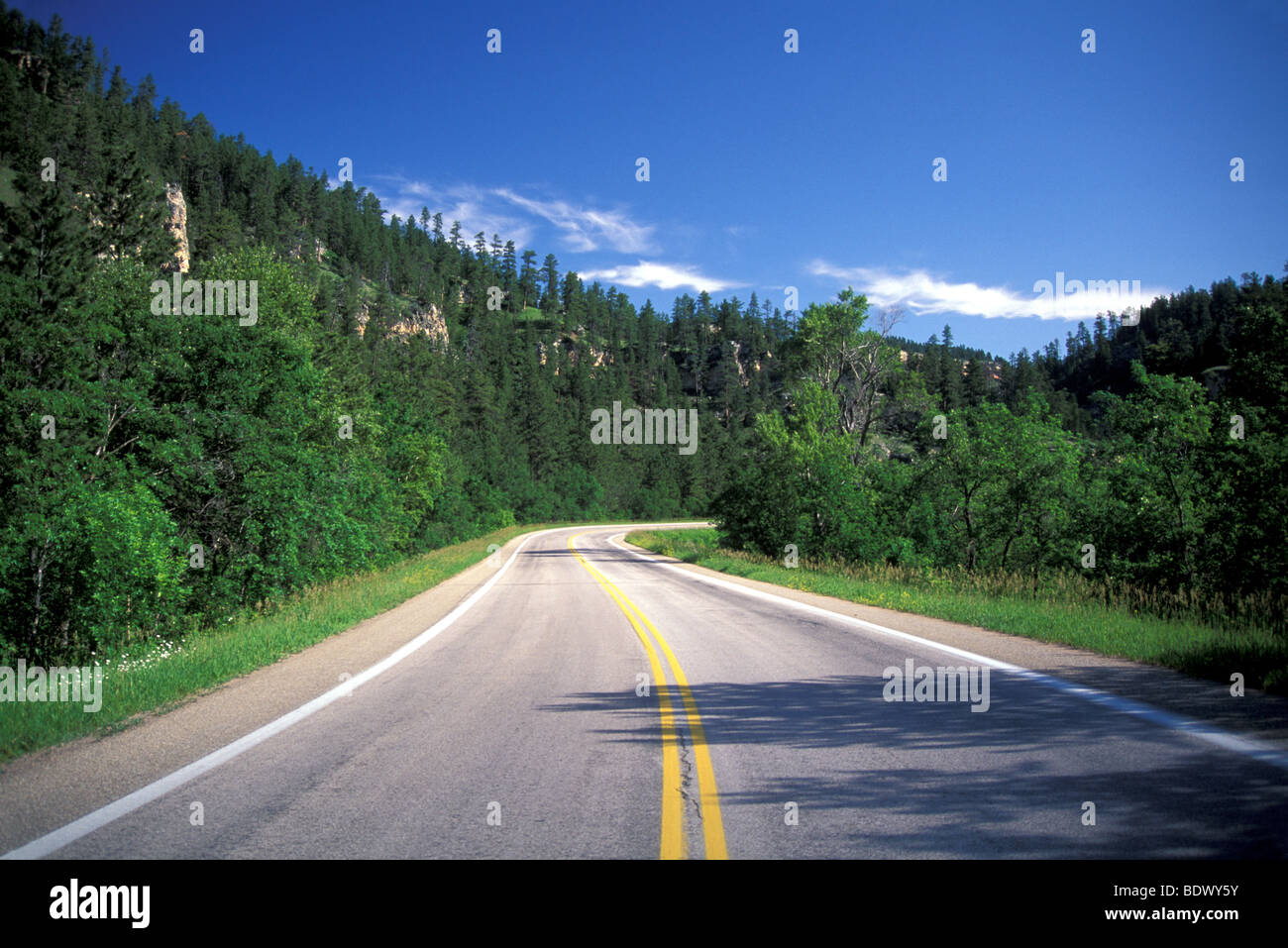 Spearfish Canyon, Black Hills, Dakota du Sud Banque D'Images