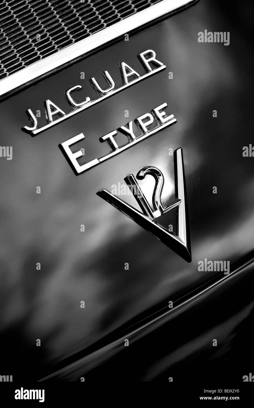 E Type V12 Jaguar, la voiture de sport classique Banque D'Images