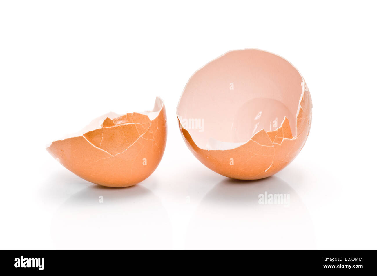 Macro d'une coquille d'œufs fêlés isolated on white Banque D'Images