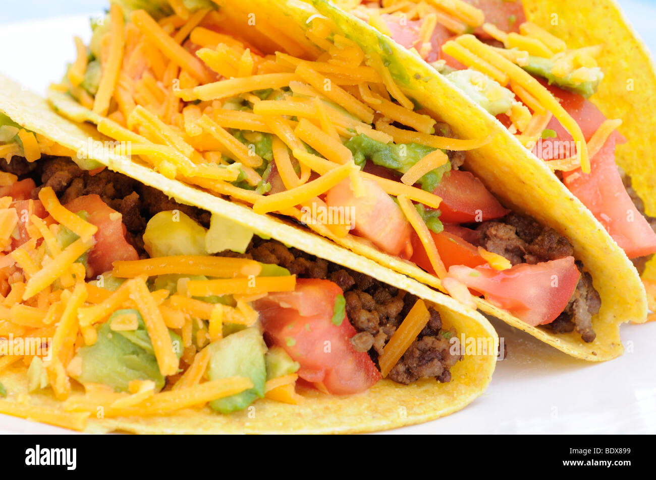 Tacos au boeuf, tomate, avocat et fromage cheddar Banque D'Images