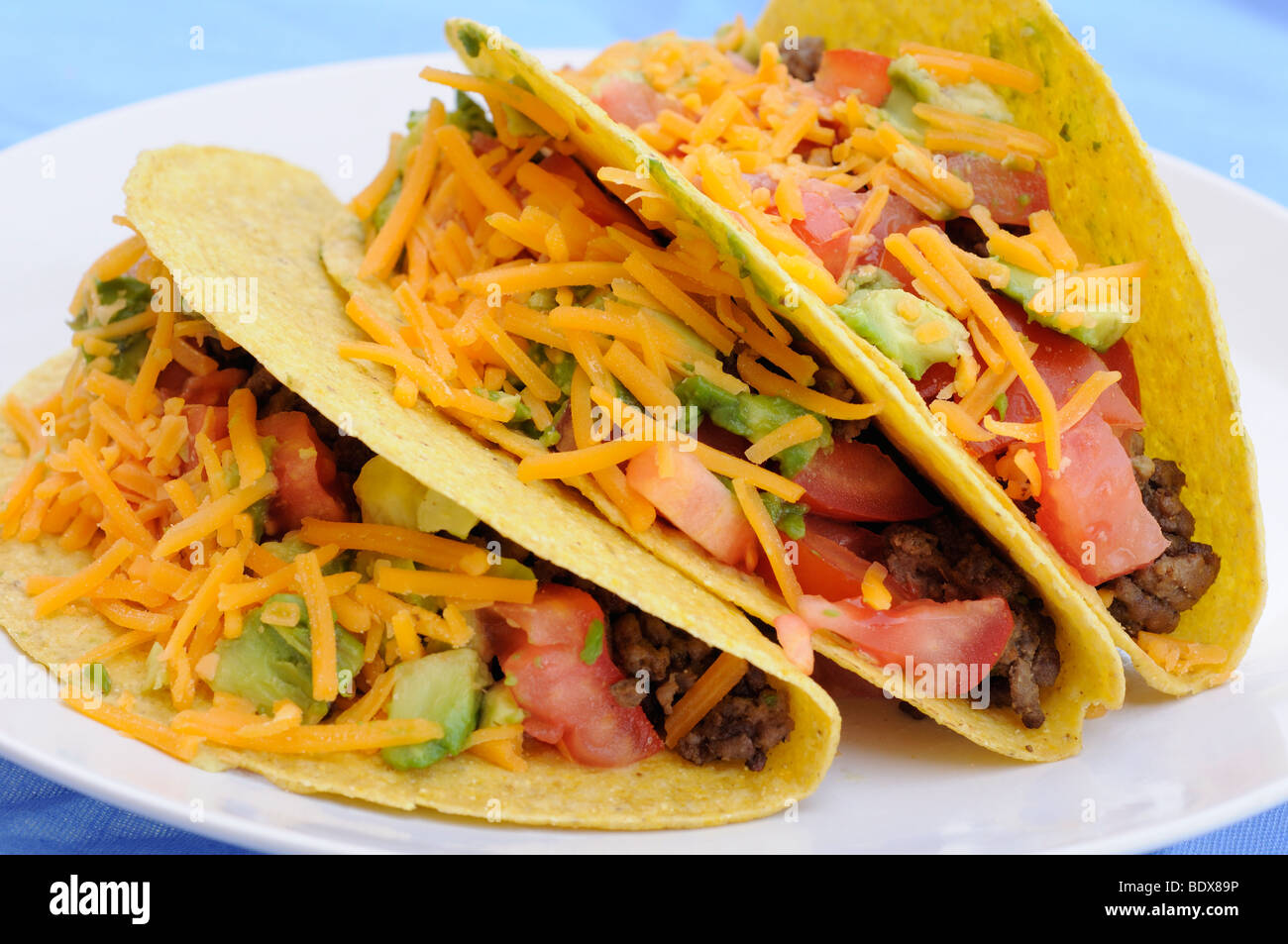 Tacos au boeuf, tomate, avocat et fromage cheddar Banque D'Images