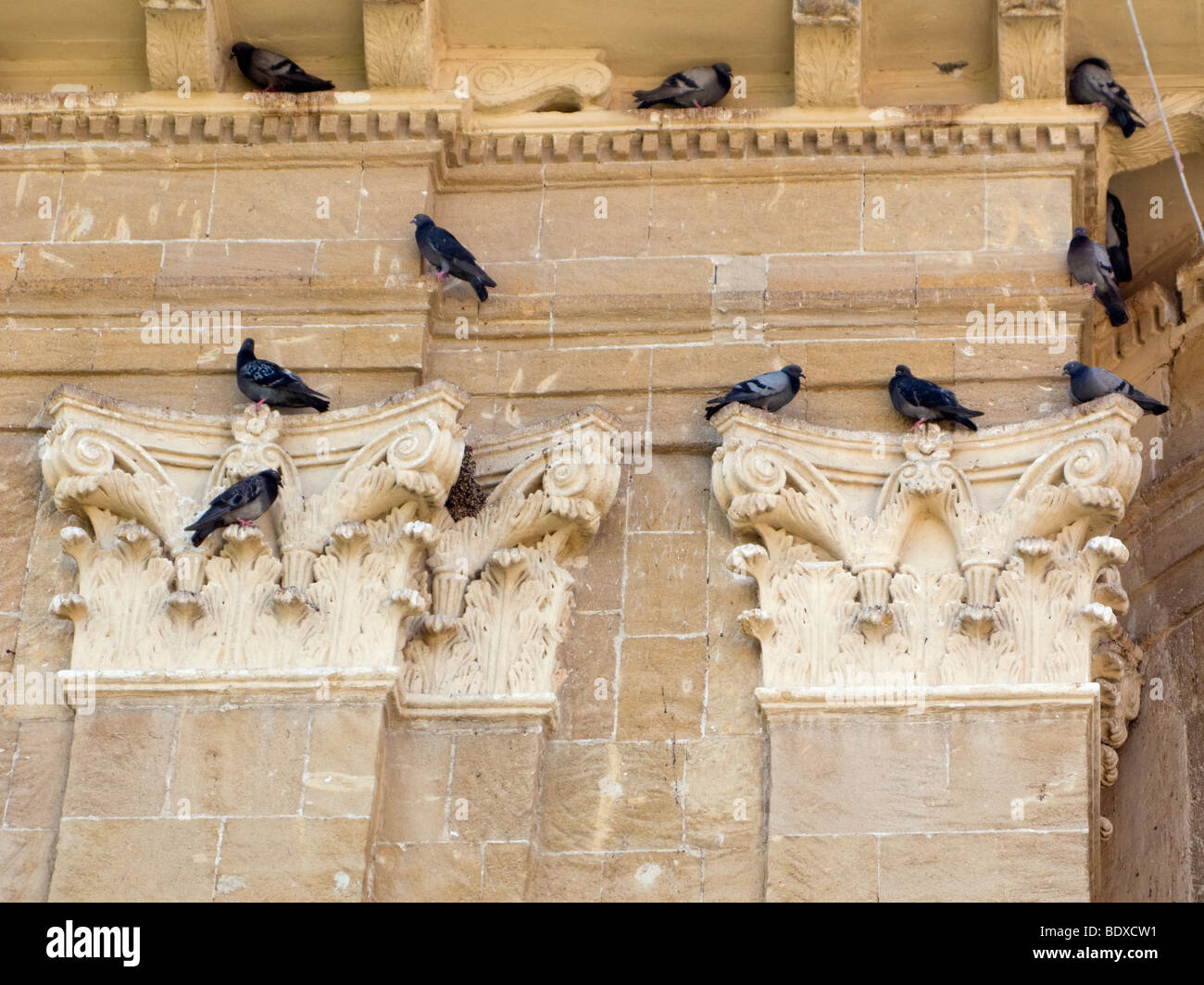 Pigeons sur une église Banque D'Images