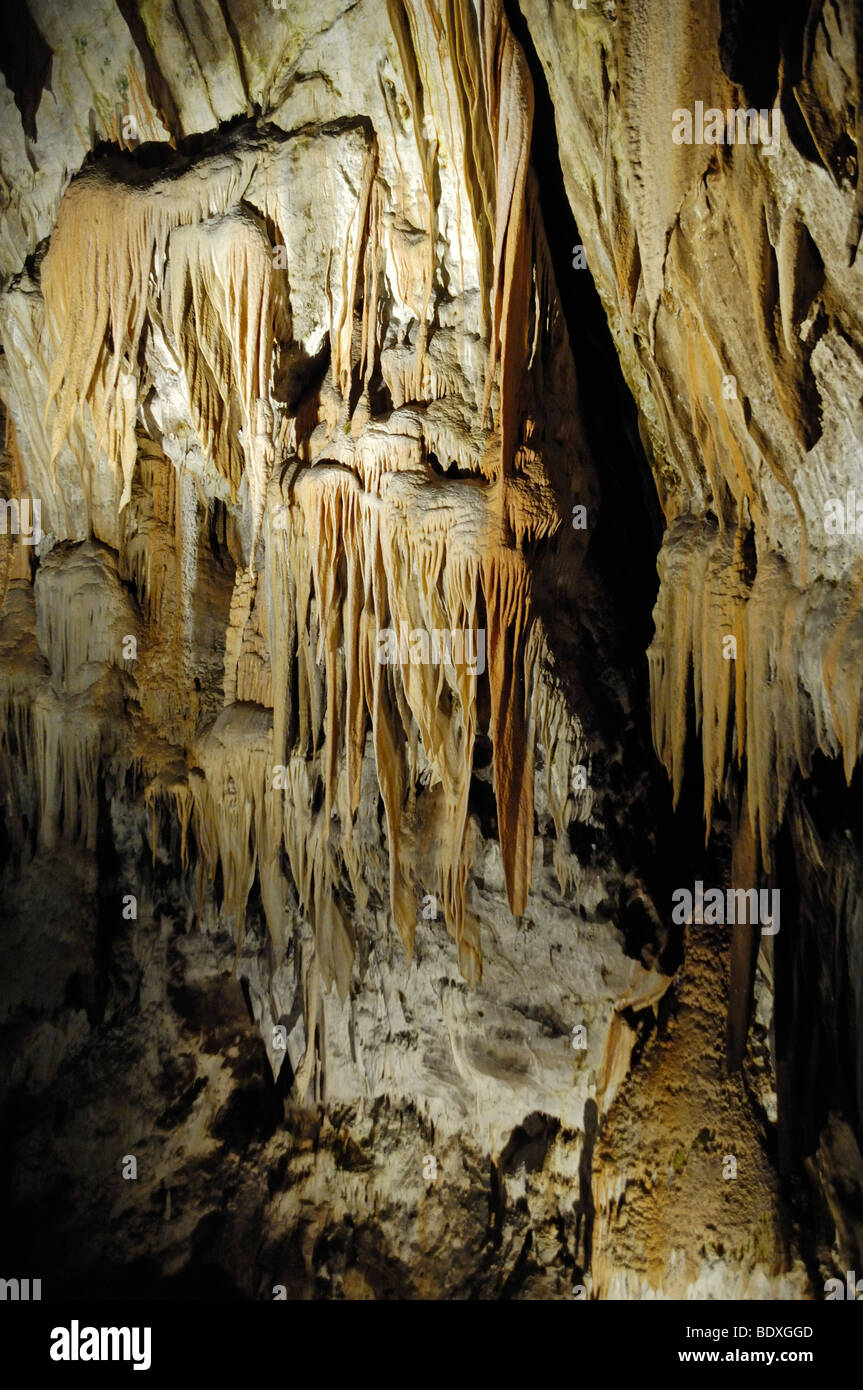 Des stalactites pendent du plafond à l'intérieur de la grotte karstique, Postojna, Slovénie, Europe Banque D'Images