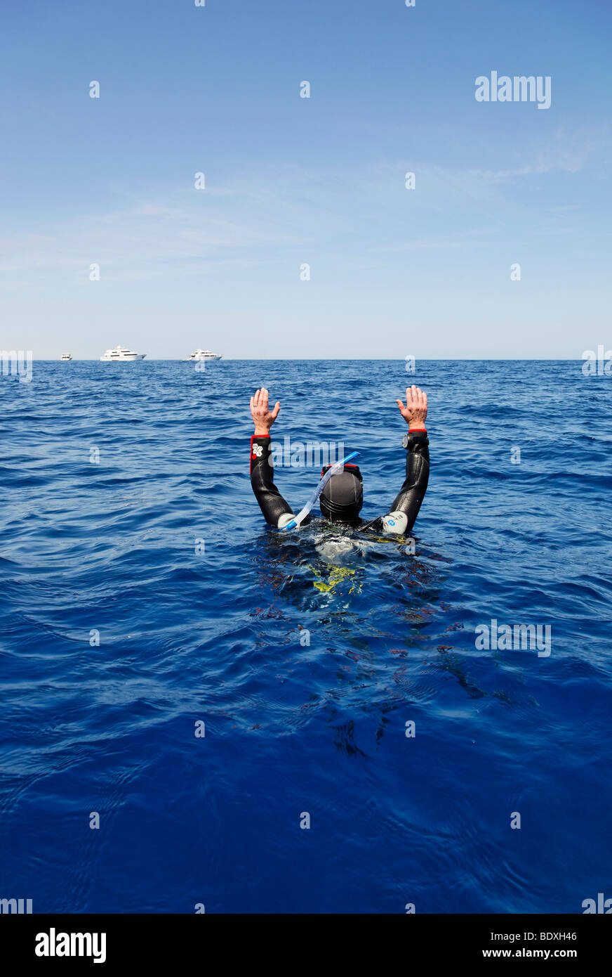 Plongeur à la dérive en mer tente d'obtenir l'attention des gens sur les bateaux de plongée sur l'horizon en l'agitant, l'Égypte, Mer Rouge, Afrique Banque D'Images