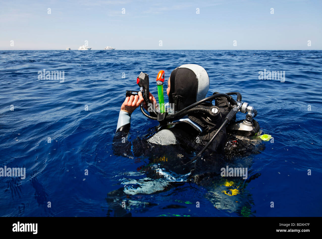 Plongeur à la dérive en mer tente d'obtenir l'attention des gens sur les bateaux de plongée à l'horizon avec un signal-corne, Egypte, Mer rouge, Banque D'Images