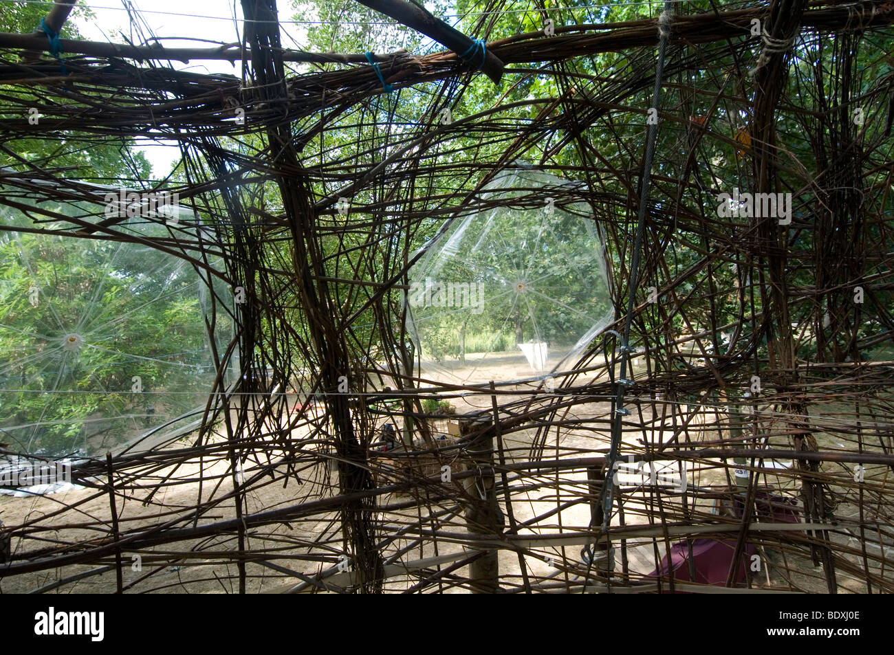 Tree House Gallery, installation temporaire de Regents Park Banque D'Images