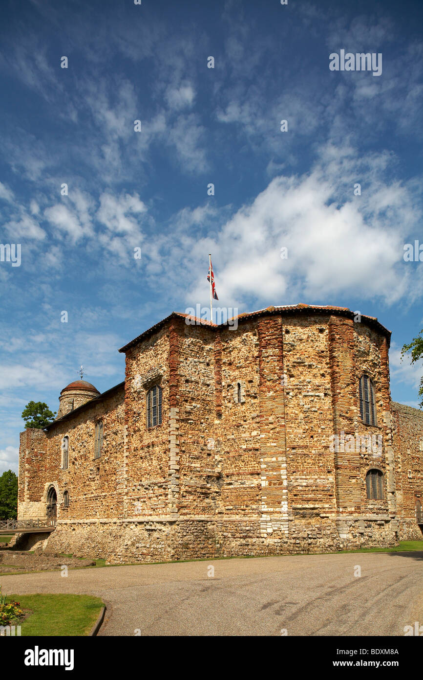 Grande-bretagne Angleterre Essex Colchester Castle Museum Banque D'Images