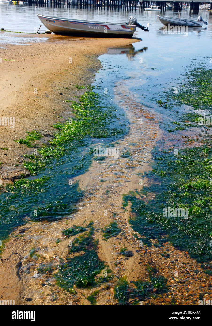 Bateaux sur la baie de Cape Cod à marée basse. Banque D'Images