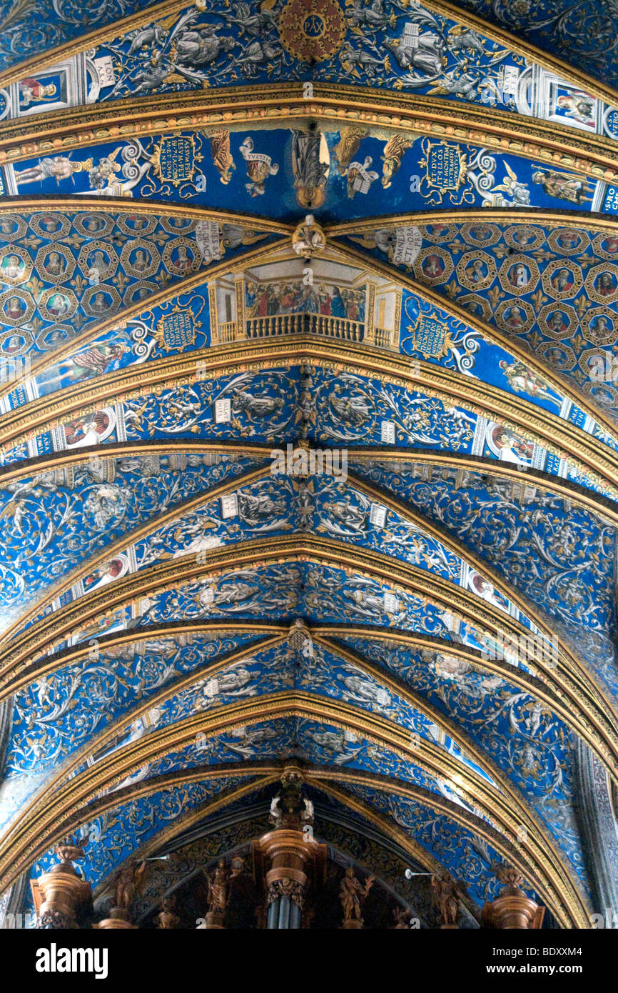 16e siècle fresques de la voûte de l'immense cathédrale SainteCécile