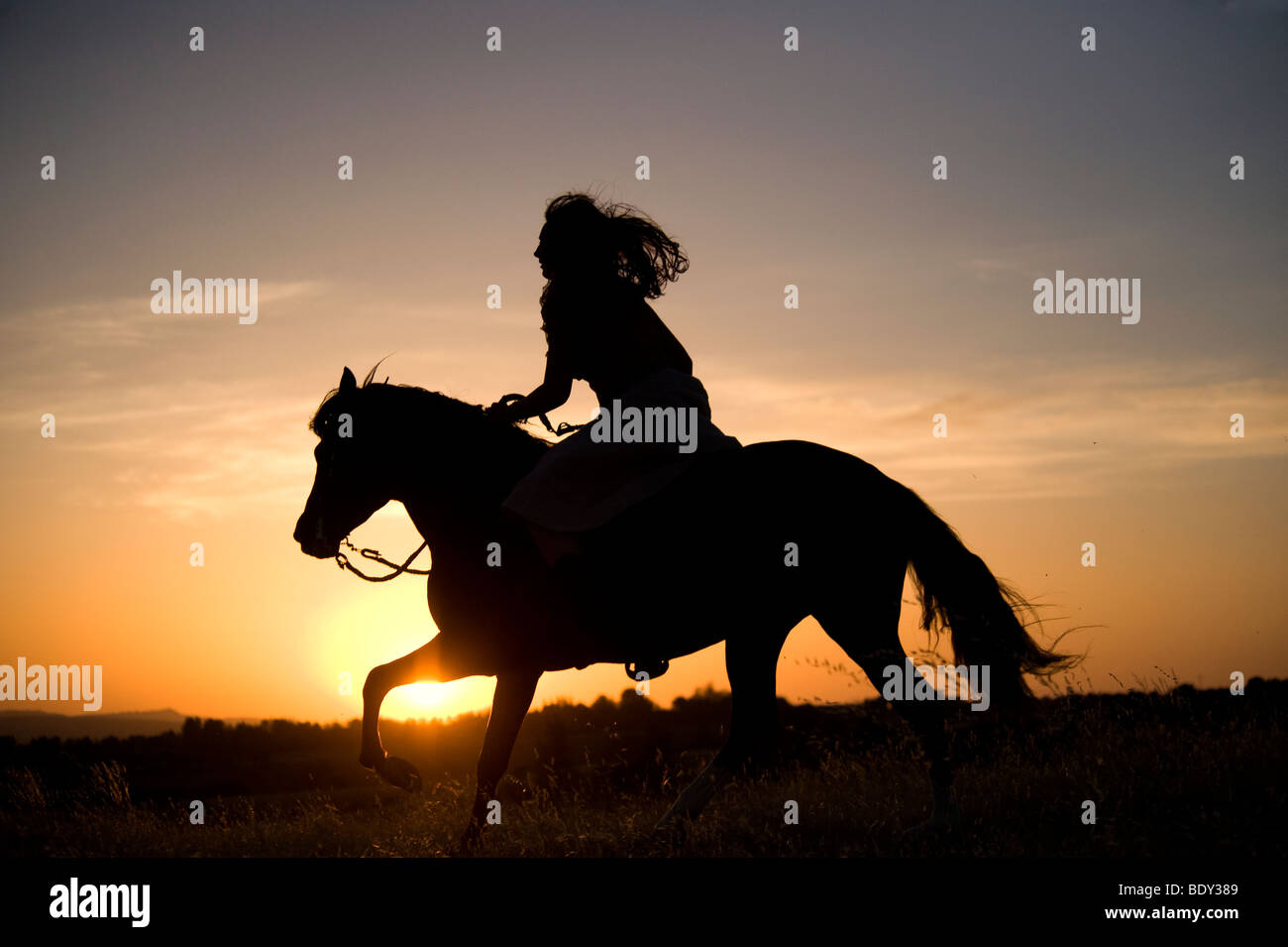 Woman Riding son cheval au coucher du soleil Banque D'Images