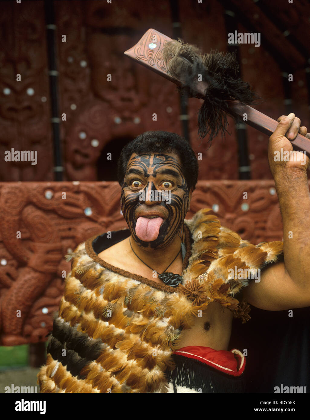 Nouvelle Zélande, île du Nord, Rotorua, guerrier Maori Whakarewarewa, effectuant un Haka Banque D'Images
