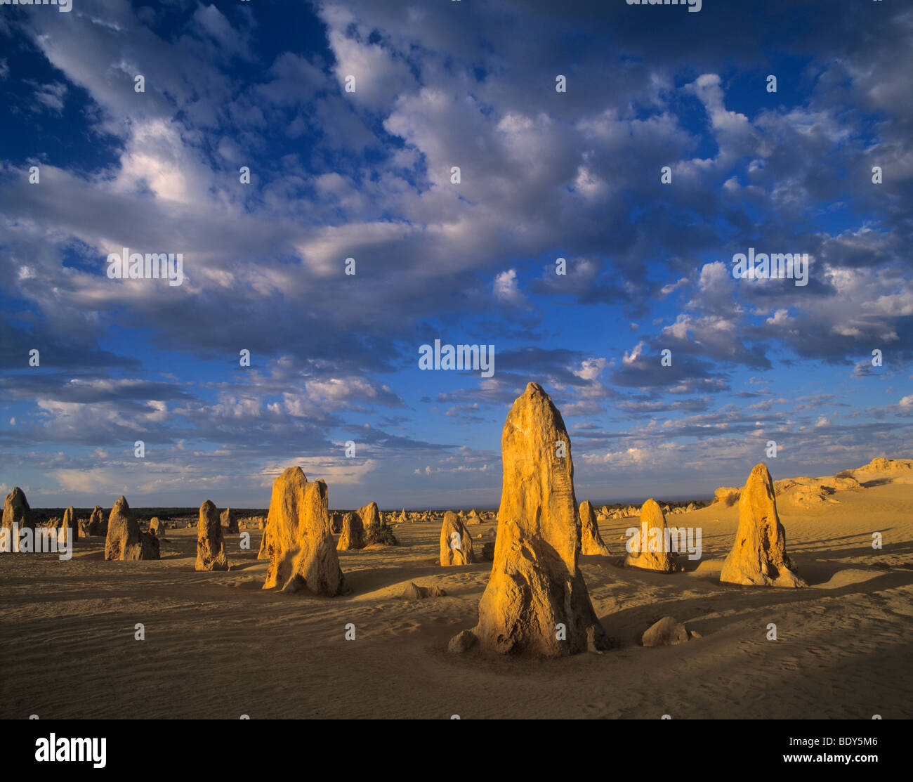 L'Australie, l'Australie occidentale, le Parc National de Nambung, le désert Pinnacle Banque D'Images